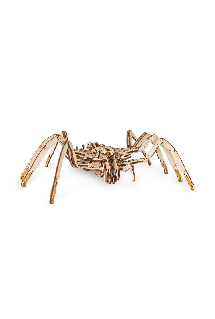 Конструктор EWA - Паук (Spider)